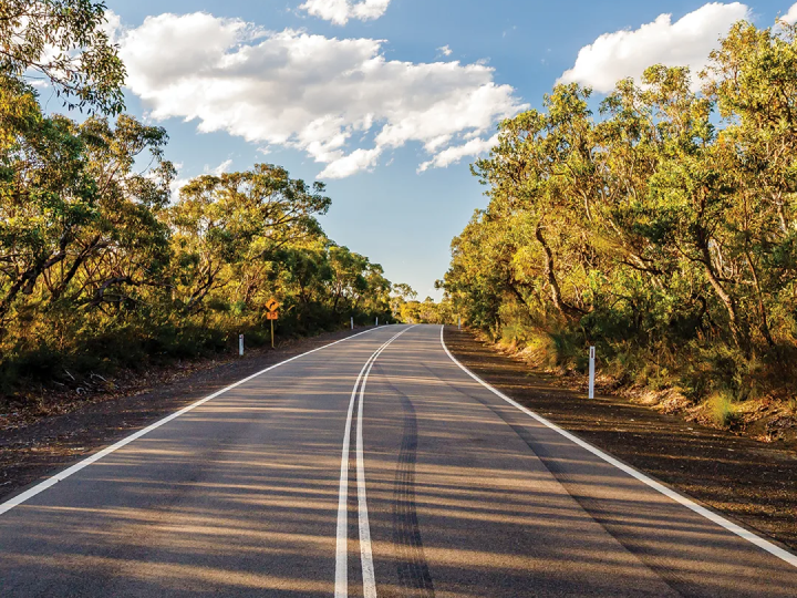 1. Improve Driver Safety